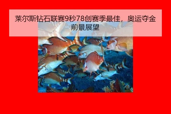 莱尔斯钻石联赛9秒78创赛季最佳，奥运夺金前景展望