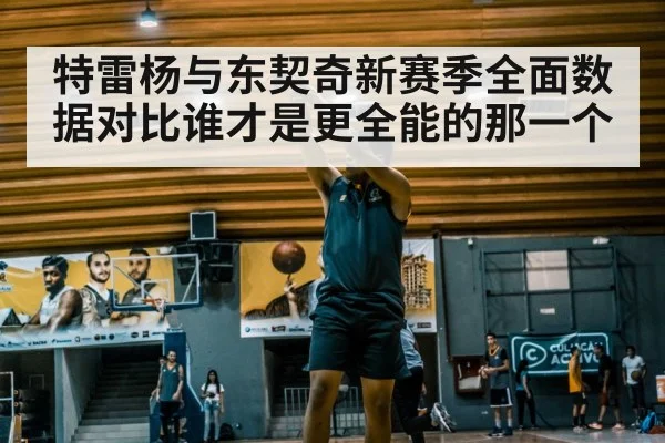 特雷杨与东契奇新赛季全面数据对比谁才是更全能的那一个
